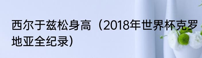 西尔于兹松身高（2018年世界杯克罗地亚全纪录）