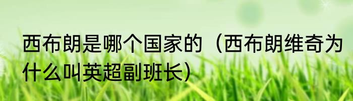 西布朗是哪个国家的（西布朗维奇为什么叫英超副班长）