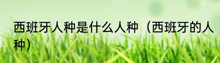 西班牙人种是什么人种（西班牙的人种）