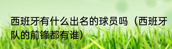 西班牙有什么出名的球员吗（西班牙队的前锋都有谁）