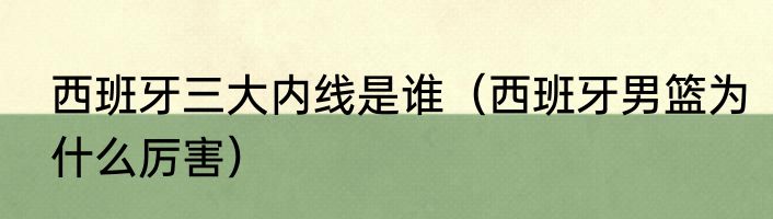 西班牙三大内线是谁（西班牙男篮为什么厉害）