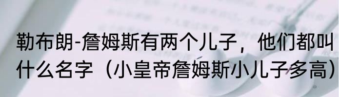 勒布朗-詹姆斯有两个儿子，他们都叫什么名字（小皇帝詹姆斯小儿子多高）