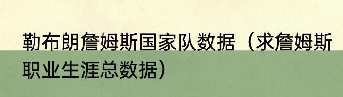 勒布朗詹姆斯国家队数据（求詹姆斯职业生涯总数据）