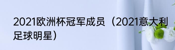 2021欧洲杯冠军成员（2021意大利足球明星）