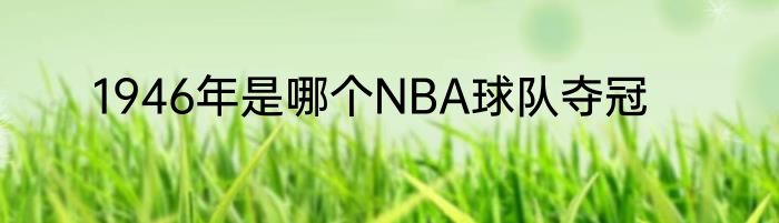 1946年是哪个NBA球队夺冠