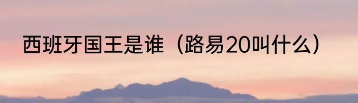 西班牙国王是谁（路易20叫什么）