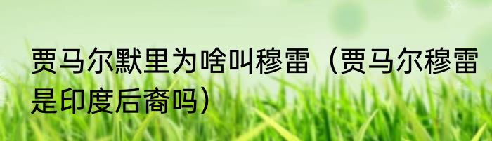 贾马尔默里为啥叫穆雷（贾马尔穆雷是印度后裔吗）