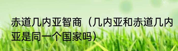 赤道几内亚智商（几内亚和赤道几内亚是同一个国家吗）