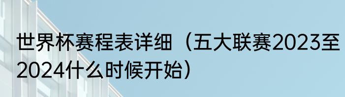 世界杯赛程表详细（五大联赛2023至2024什么时候开始）