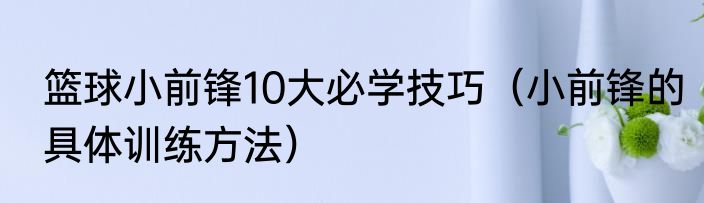 篮球小前锋10大必学技巧（小前锋的具体训练方法）