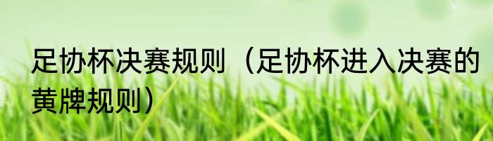 足协杯决赛规则（足协杯进入决赛的黄牌规则）