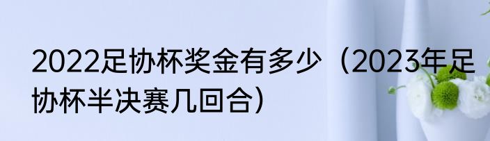 2022足协杯奖金有多少（2023年足协杯半决赛几回合）