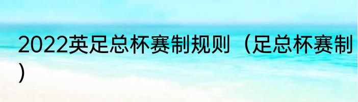 2022英足总杯赛制规则（足总杯赛制）