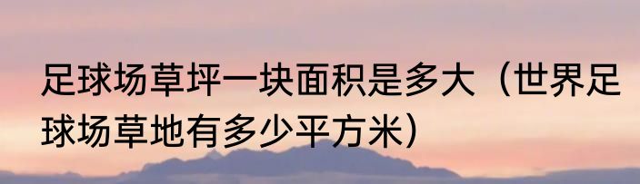 足球场草坪一块面积是多大（世界足球场草地有多少平方米）