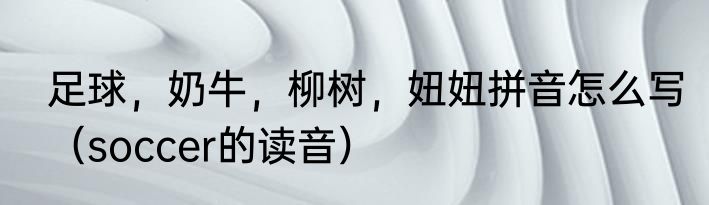 足球，奶牛，柳树，妞妞拼音怎么写（soccer的读音）