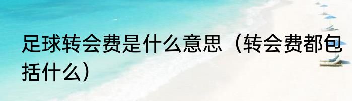 足球转会费是什么意思（转会费都包括什么）