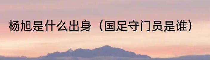 杨旭是什么出身（国足守门员是谁）