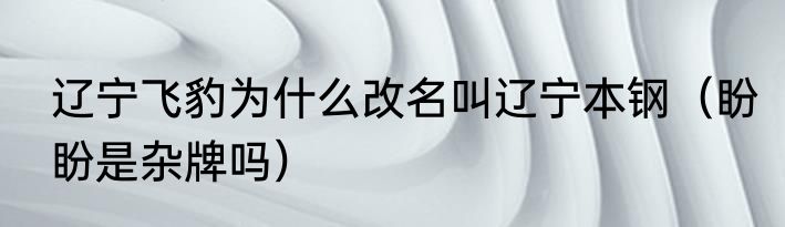 辽宁飞豹为什么改名叫辽宁本钢（盼盼是杂牌吗）