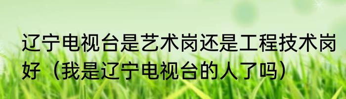 辽宁电视台是艺术岗还是工程技术岗好（我是辽宁电视台的人了吗）