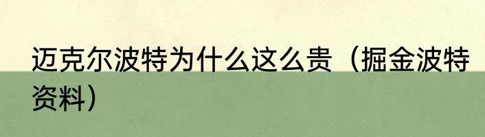迈克尔波特为什么这么贵（掘金波特资料）