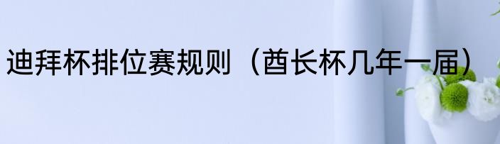 迪拜杯排位赛规则（酋长杯几年一届）