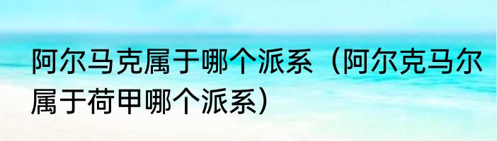 阿尔马克属于哪个派系（阿尔克马尔属于荷甲哪个派系）