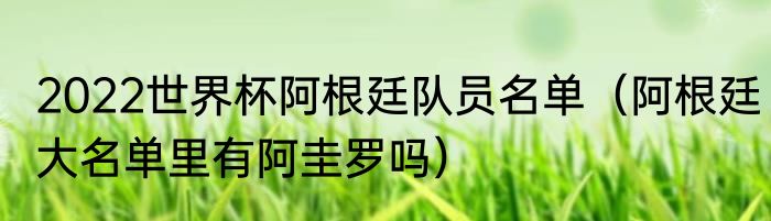 2022世界杯阿根廷队员名单（阿根廷大名单里有阿圭罗吗）