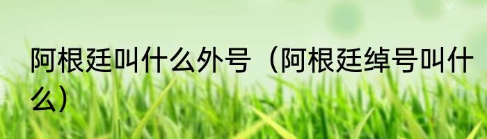 阿根廷叫什么外号（阿根廷绰号叫什么）