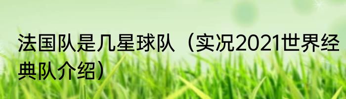 法国队是几星球队（实况2021世界经典队介绍）