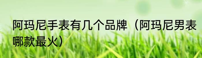 阿玛尼手表有几个品牌（阿玛尼男表哪款最火）