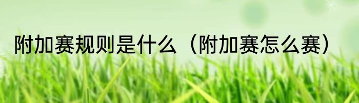 附加赛规则是什么（附加赛怎么赛）