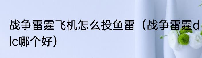 战争雷霆飞机怎么投鱼雷（战争雷霆dlc哪个好）