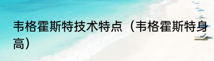 韦格霍斯特技术特点（韦格霍斯特身高）