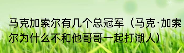 马克加索尔有几个总冠军（马克·加索尔为什么不和他哥哥一起打湖人）