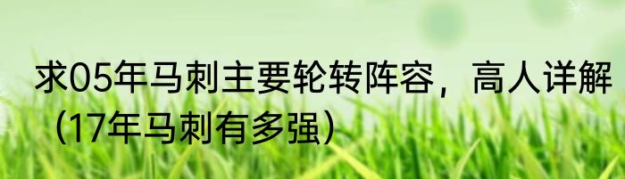 求05年马刺主要轮转阵容，高人详解（17年马刺有多强）