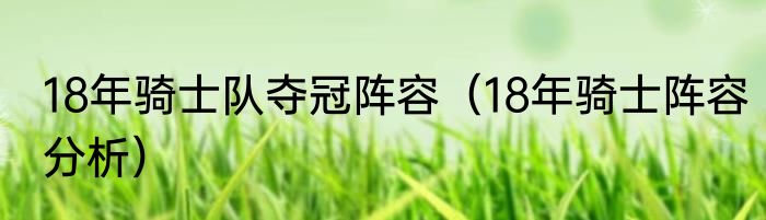 18年骑士队夺冠阵容（18年骑士阵容分析）