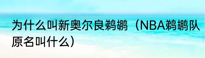 为什么叫新奥尔良鹈鹕（NBA鹈鹕队原名叫什么）