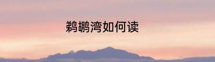 鹈鹕湾如何读