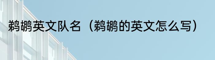 鹈鹕英文队名（鹈鹕的英文怎么写）