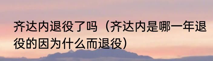 齐达内退役了吗（齐达内是哪一年退役的因为什么而退役）
