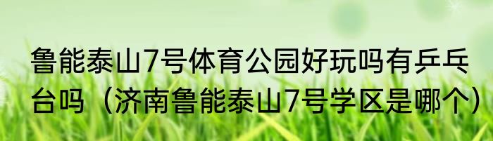 鲁能泰山7号体育公园好玩吗有乒乓台吗（济南鲁能泰山7号学区是哪个）