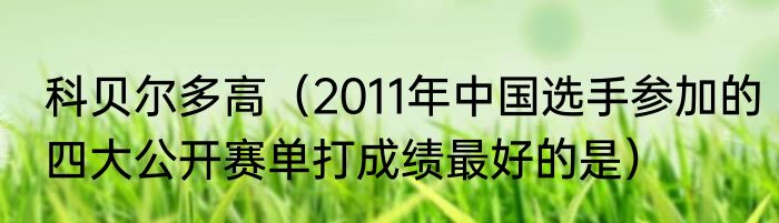 科贝尔多高（2011年中国选手参加的四大公开赛单打成绩最好的是）