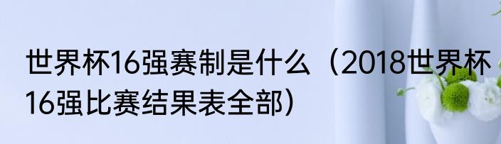 世界杯16强赛制是什么（2018世界杯16强比赛结果表全部）