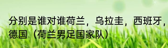 分别是谁对谁荷兰，乌拉圭，西班牙，德国（荷兰男足国家队）
