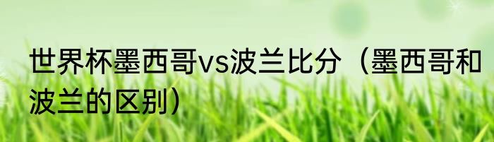 世界杯墨西哥vs波兰比分（墨西哥和波兰的区别）