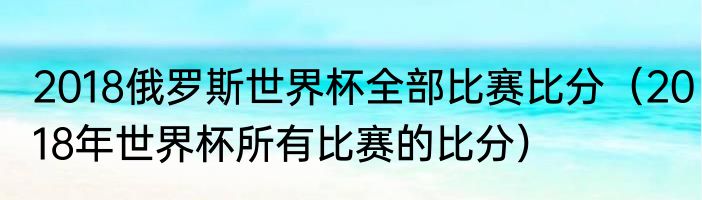 2018俄罗斯世界杯全部比赛比分（2018年世界杯所有比赛的比分）