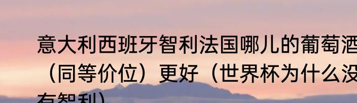 意大利西班牙智利法国哪儿的葡萄酒（同等价位）更好（世界杯为什么没有智利）