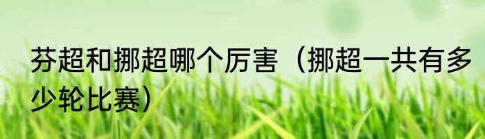 芬超和挪超哪个厉害（挪超一共有多少轮比赛）