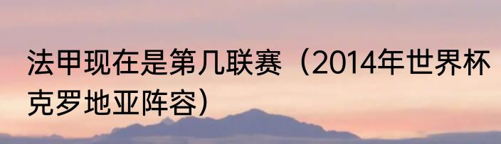 法甲现在是第几联赛（2014年世界杯克罗地亚阵容）