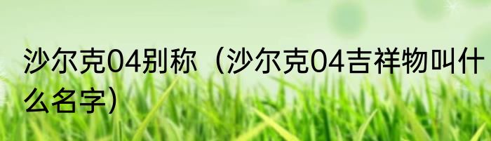 沙尔克04别称（沙尔克04吉祥物叫什么名字）